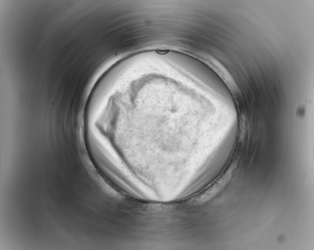 X0000101960812200808151314