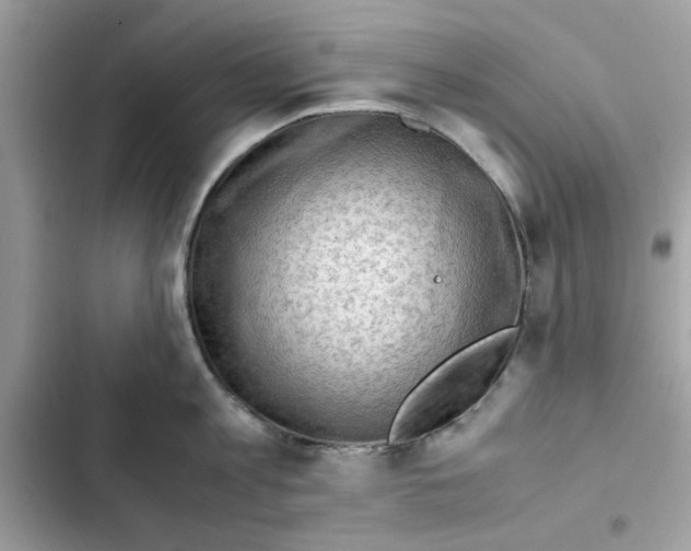 X0000101960813200808151314