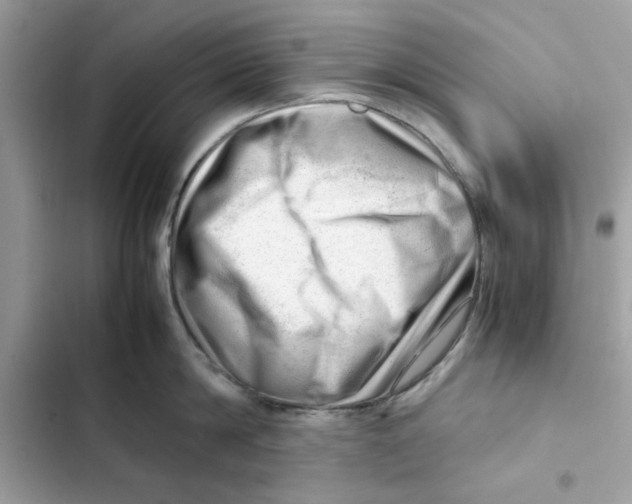 X0000101960814200808151314