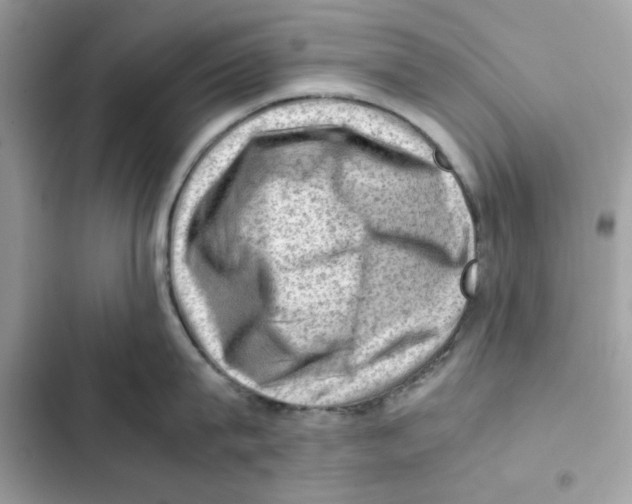 X0000101960815200808151314