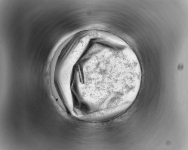X0000101960816200808151314