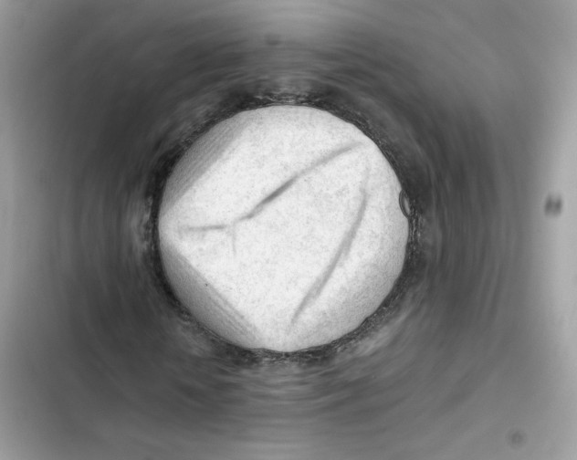 X0000101960818200808151313