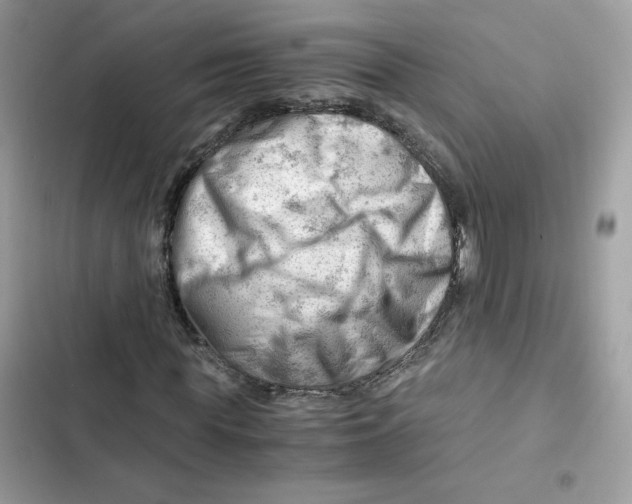 X0000101960819200808151313