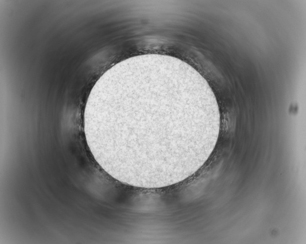 X0000101960820200808151313