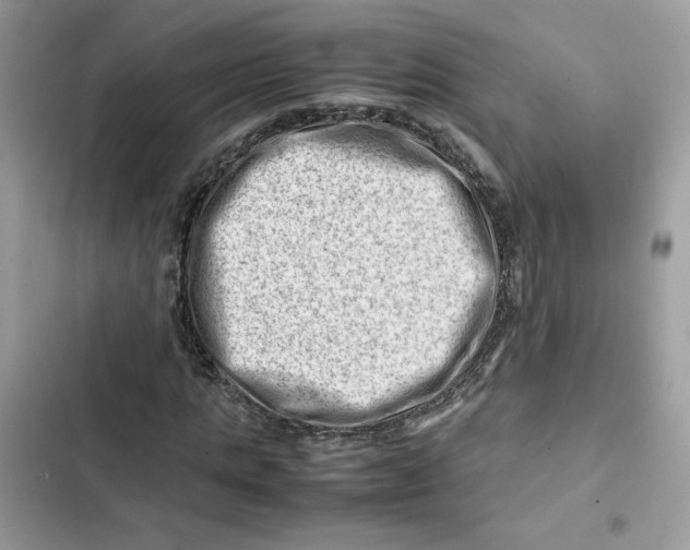 X0000101960821200808151313