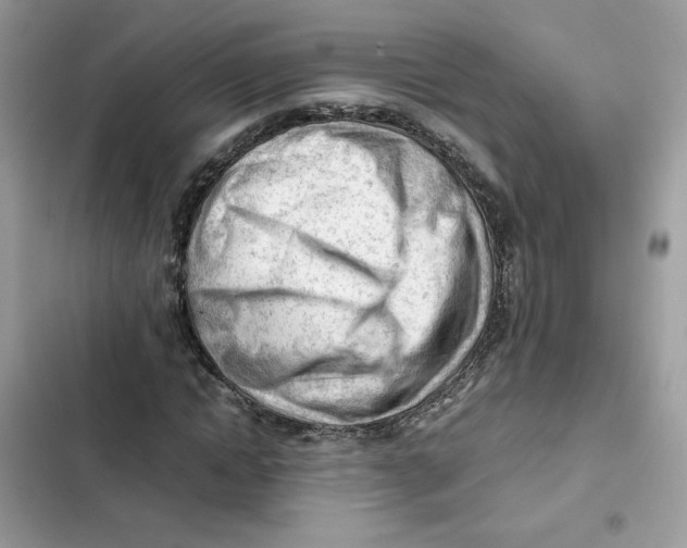 X0000101960822200808151313