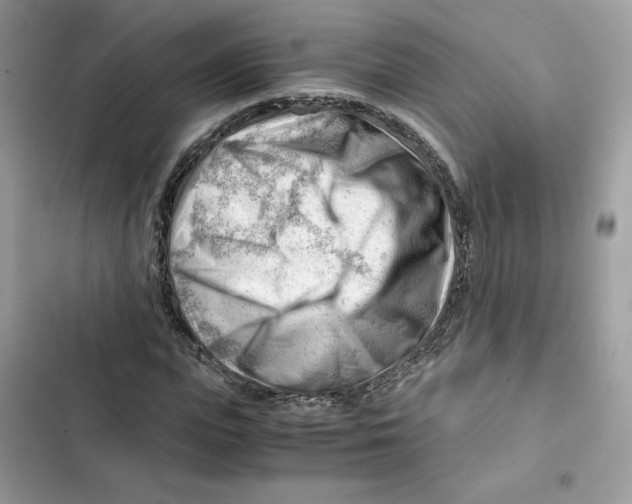 X0000101960823200808151313