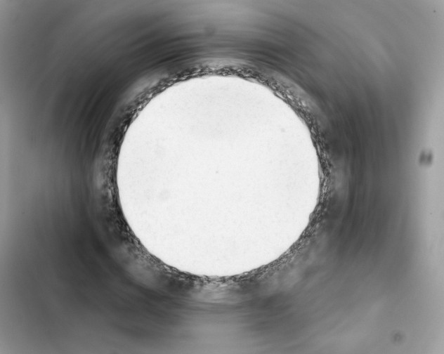 X0000101960824200808151313