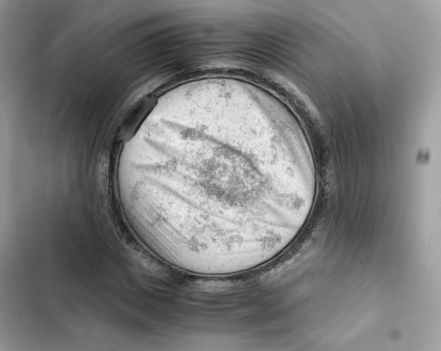 X0000101960825200808151313