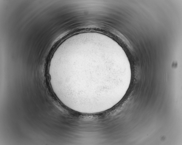 X0000101960826200808151313