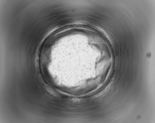 X0000101960827200808151313