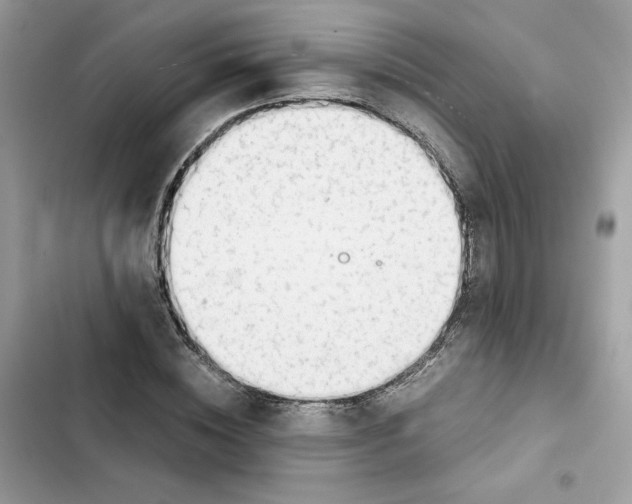 X0000101960828200808151313