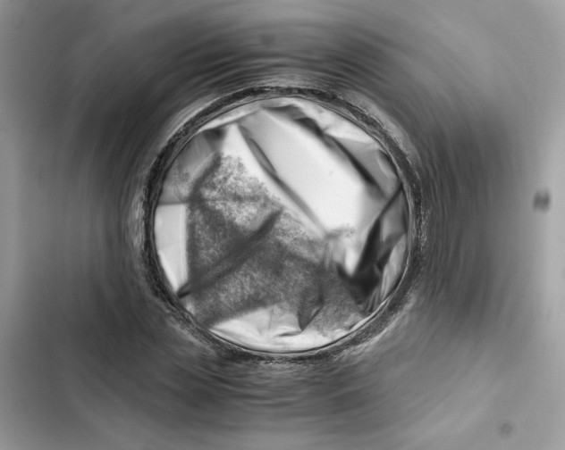 X0000101960829200808151313