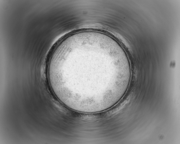 X0000101960830200808151313