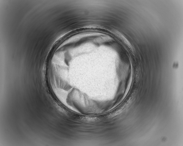 X0000101960831200808151313