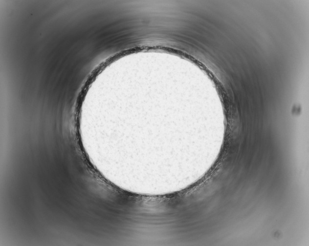 X0000101960832200808151313