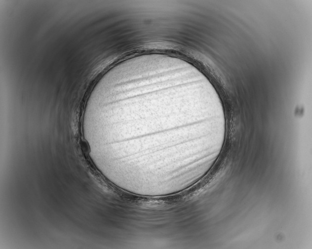 X0000101960833200808151313