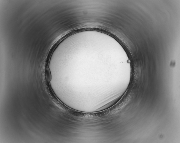 X0000101960834200808151313