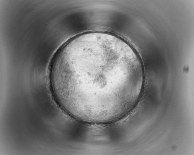 X0000101960835200808151313