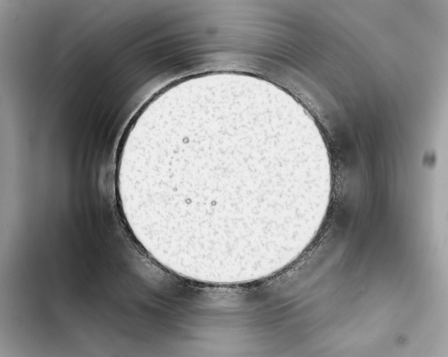 X0000101960836200808151313