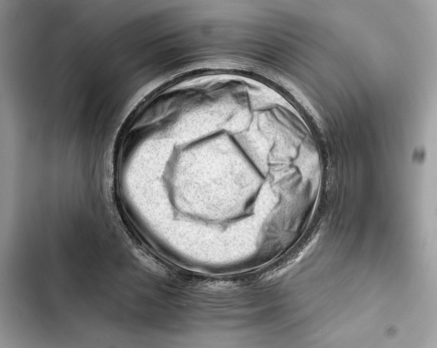 X0000101960837200808151313