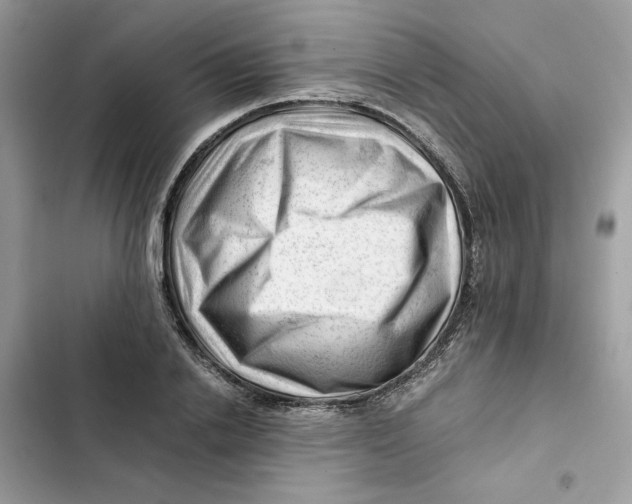X0000101960838200808151313