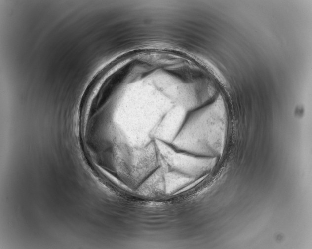 X0000101960839200808151313