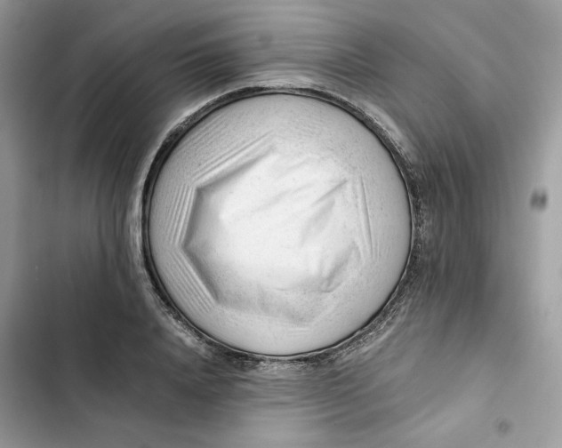 X0000101960840200808151313