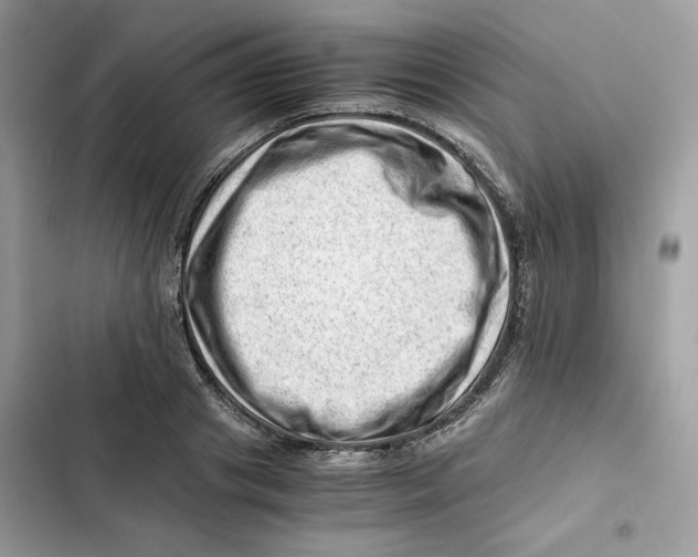 X0000101960841200808151313