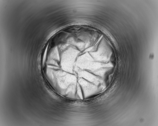 X0000101960842200808151313