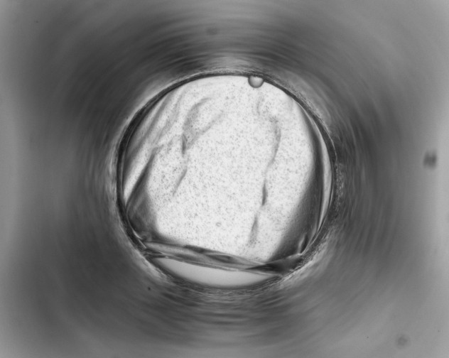 X0000101960843200808151313