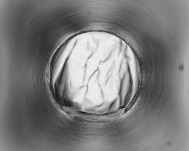 X0000101960844200808151313
