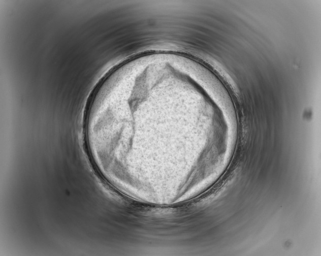X0000101960845200808151313