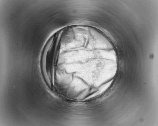 X0000101960846200808151313