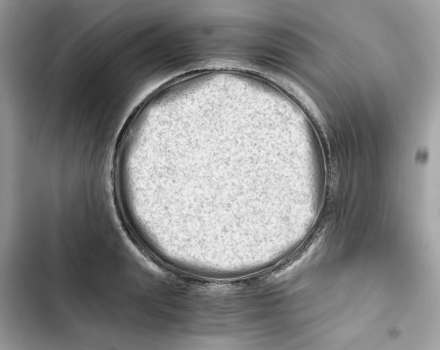 X0000101960847200808151313