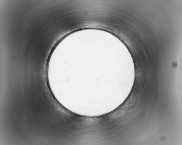 X0000101960848200808151313