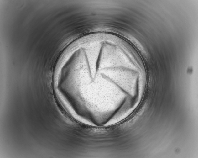 X0000101960849200808151313