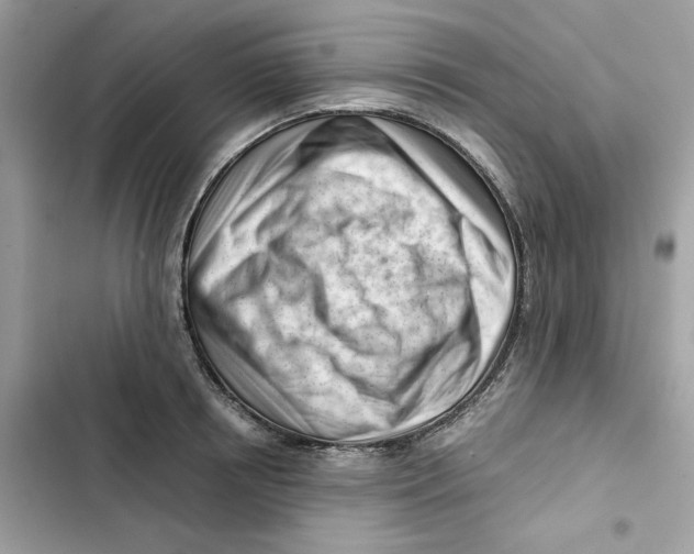 X0000101960850200808151313