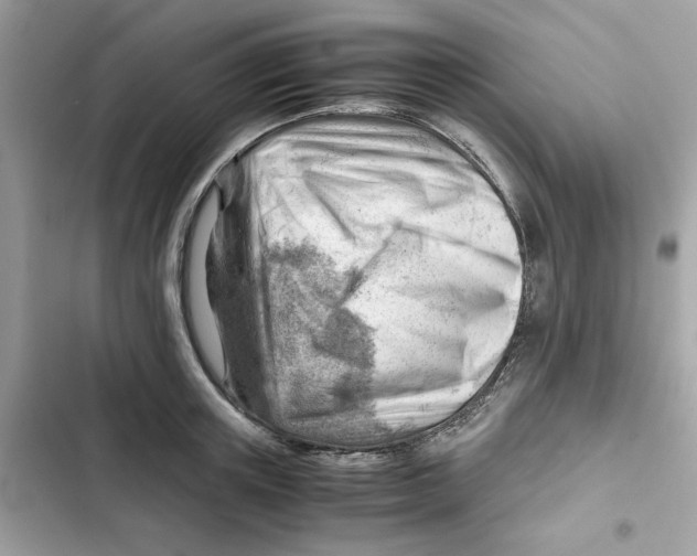 X0000101960851200808151313