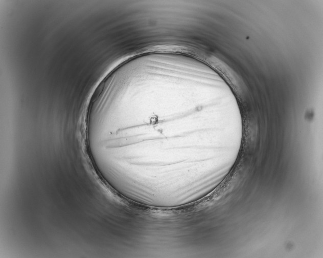 X0000101960852200808151313