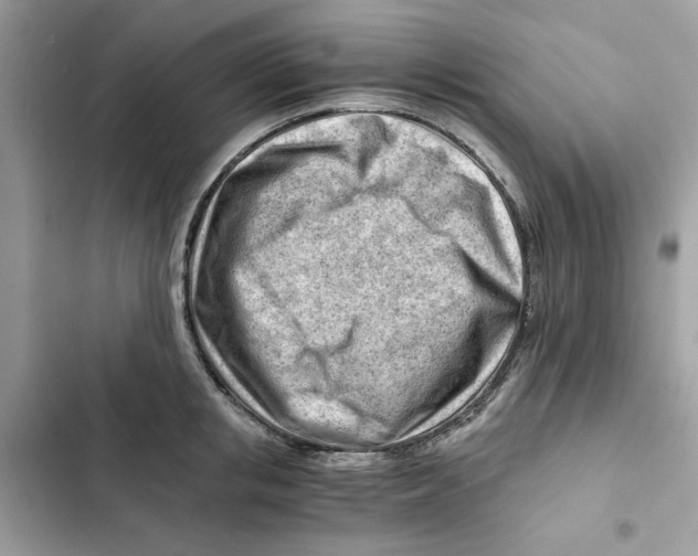 X0000101960853200808151313