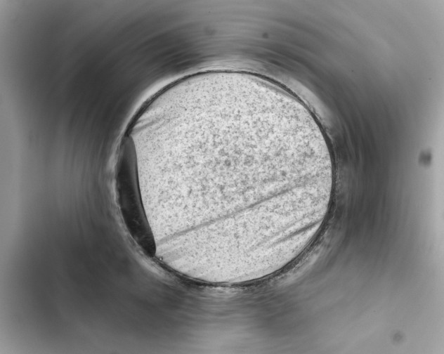 X0000101960854200808151313