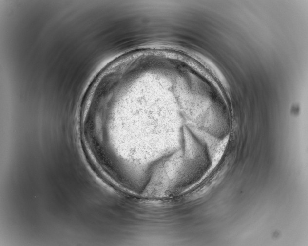 X0000101960855200808151313