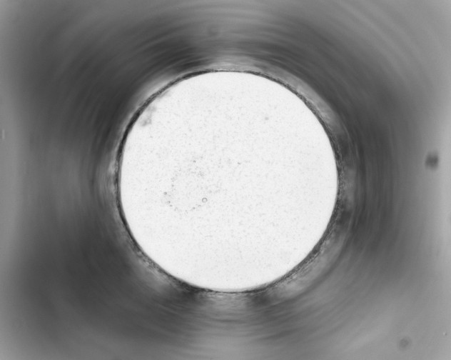 X0000101960856200808151313