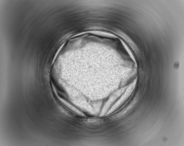 X0000101960857200808151313