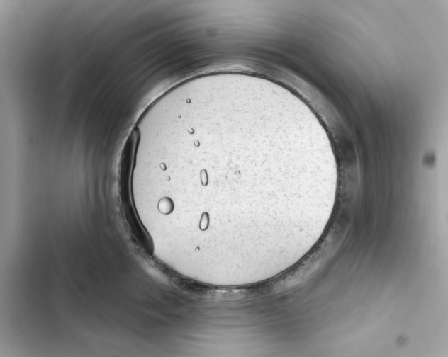 X0000101960858200808151313