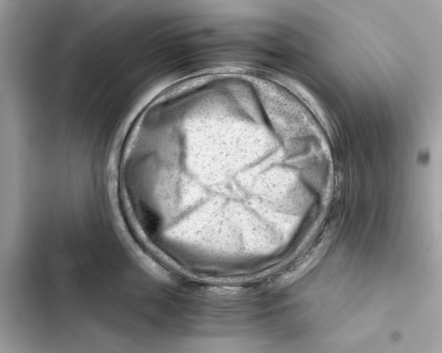X0000101960859200808151313