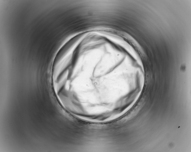 X0000101960860200808151313