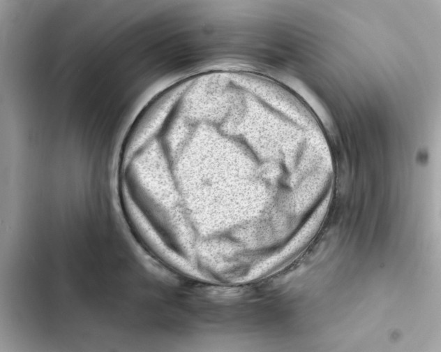 X0000101960861200808151314