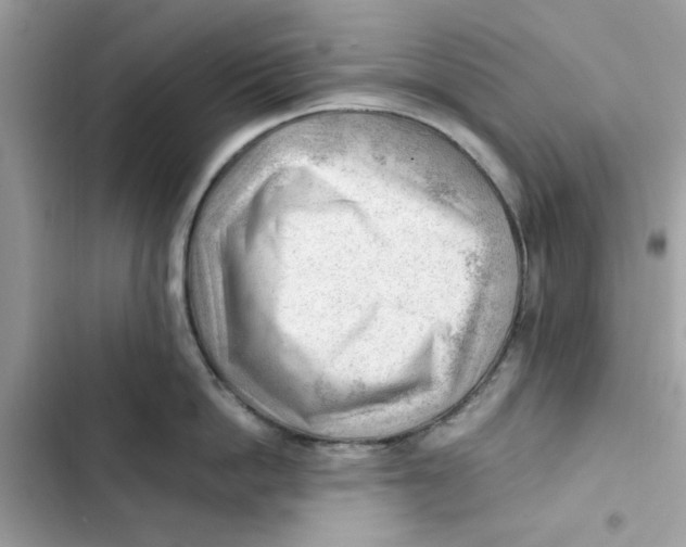 X0000101960862200808151314